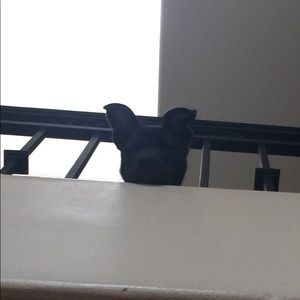 Meet your Posher, Kris